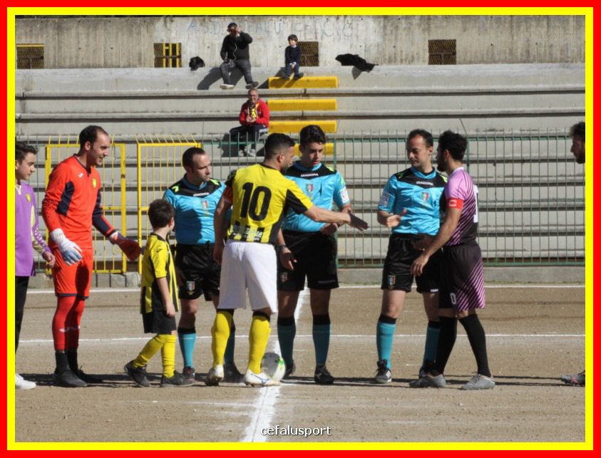 190310 Cephal_Torrenov 030_tn.jpg